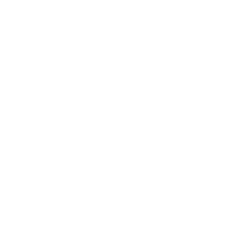 Chameleon