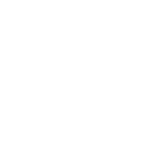 Mr Bee
